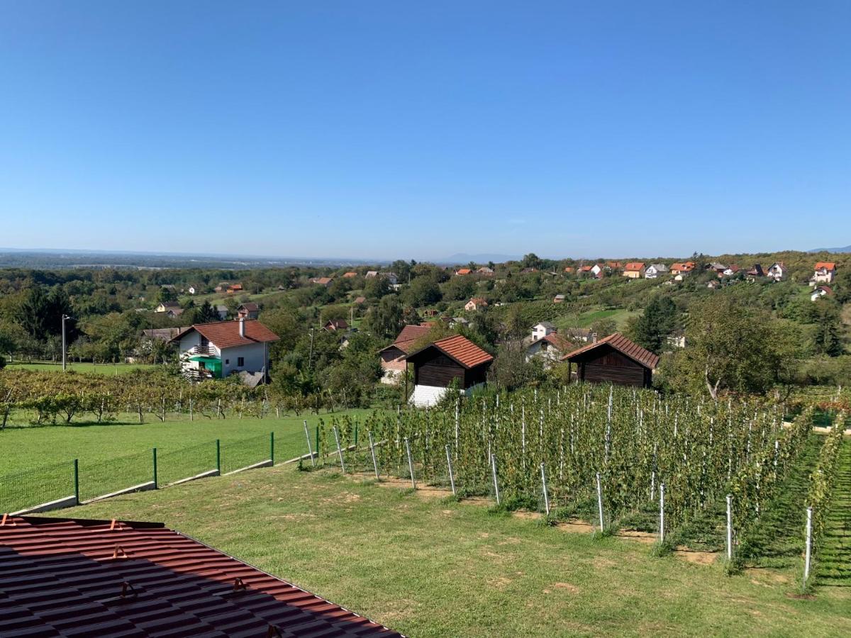 Apartman Grc Lägenhet Dugo Selo Exteriör bild
